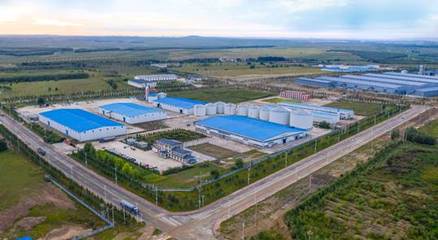 恒大糧油榮獲“深圳市重點農業龍頭企業”稱號，加碼布局優質蔬菜產業